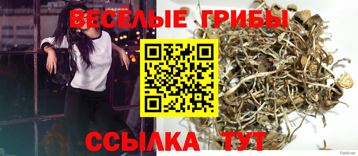 Сарапул  Псилоцибиновые грибы GOLDEN TEACHER  Вход с VPN 